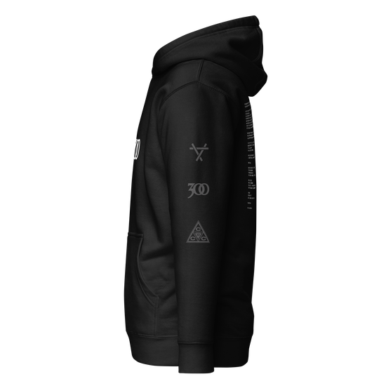300 Statement Hoodie